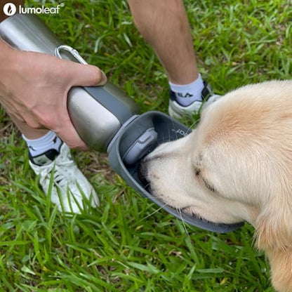LumoLeaf Portable Dog Water Bottle 27 OZ, Stainless Steel Pet Travel Water Bottle Dispenser for Walking, Hiking and Outdoor, Portable Water Bowl for Large Dogs (Grey) - Image 2