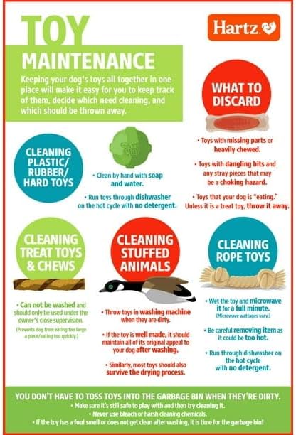 Dura Play Soft Dog Bone Toy for Gentle Chewers, Latex, Green Colors, Exterior is Made of Firm, Natural Latex for Durability, Medium