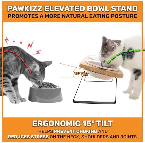 Elevated Cat Bowl Stand for Food and Water – Anti-Vomit Raised Feeding Station with Tilted Stand – Removable Round Ceramic Bowls, Anti Slip Bamboo Base, Dishes for Cats, Kitten, Small Dogs & Puppies - Image 2