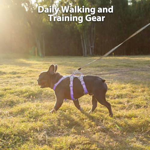 Huntboo Escape Proof Dog Harness,Secure Dog Harness No Escape,Fully Reflective Harness with Handle,Breathable,Durable,Adjustable Vest for Small Dogs Walking,Training & Running Gear(Lavender Purple,XS) - Image 7