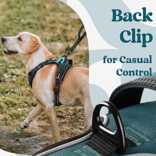 rabbitgoo Dog Harness for Large, Updated Easy On & Off with 3 Buckles - Image 5
