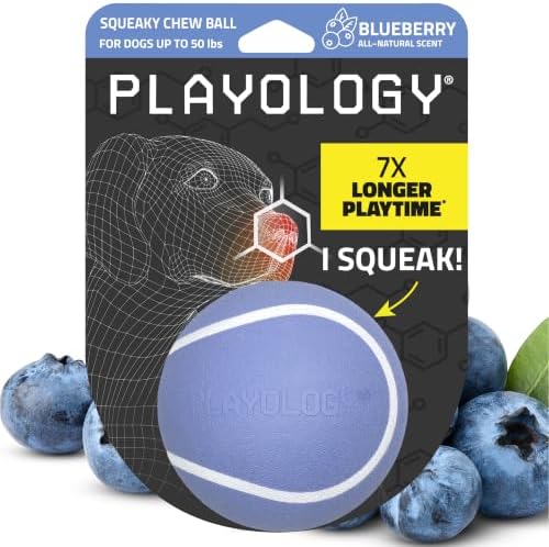 Playology Squeaky Chew Ball Dog Toy - Medium, Blueberry Scent by Playology
