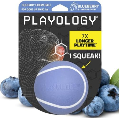 Playology Squeaky Chew Ball Dog Toy - Medium, Blueberry Scent by Playology