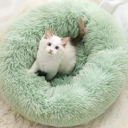 Cat Beds for Indoor Cats - Cat Bed Washable 24 inches, Dog Beds for Small Medium Dogs, Anti Anxiety Round Fluffy Plush Faux Fur Cat Bed, Thick Bottom (Light Green, Large 24" L x 24" W) - Image 2