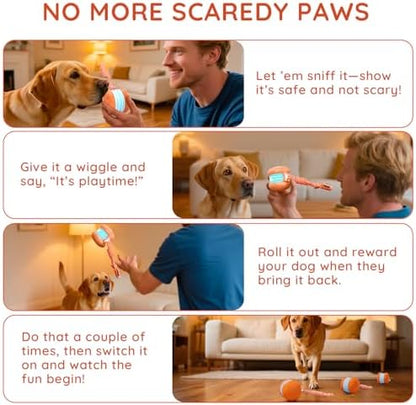Interactive Dog Ball,Random Path Electric Moving Dogs Toy with Rope - Image 5