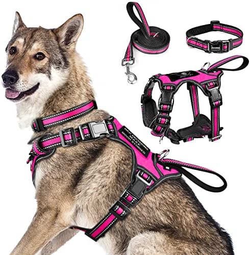 WINSEE Pet Harness Collar and Leash Set, All-in-one Reflective Dog Harness No Pull with Adjustable Buckles for Puppies, Small, Medium, Large, and Extra-Large Dogs (X-Large, Rosy) by WINSEE