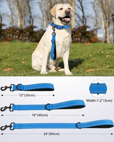 Joytale Short Dog Leash for Close Control & Training, 24", Aqua Blue - Image 2