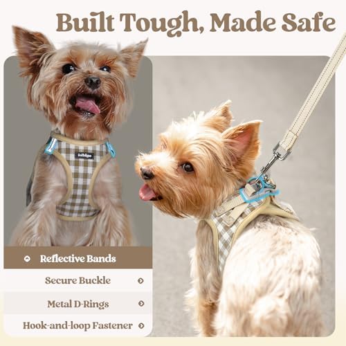 rabbitgoo Dog Harness Medium Sized and Leash Set, Step-in Puppy Pet Vest - Image 5