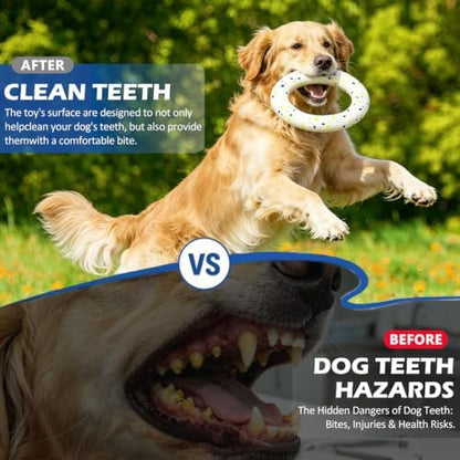 2 Pack Dog Ring Toys for Outdoor Play, Durable Soft Flying Disc for Throwing Catching Grabbing, Water Floating Dog Frisbee Fetch Toy Training Ring Tug of War for Medium Large Breeds (9.0") - Image 4