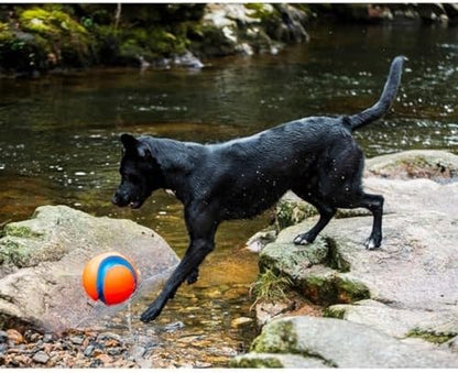 Chuckit! Amphibious Mega Ball or Roller That Floats for Medium and Large Dogs - Image 5