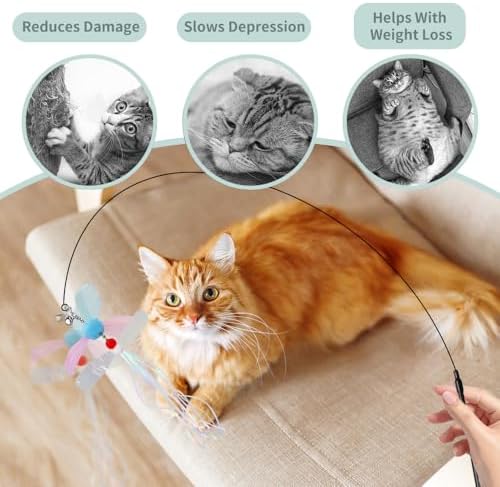 PAZ'S GIFT Cat Wand Toys, Rotating Feather 2 piece Catnip wzggle Sounding Toy, Soft and Durable, Interactive cat Kick Toys for Indoor Play - Image 3