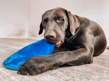 SuperChewer Tough Flying Disc Toy | Lifetime Replacement | Strong Natural Rubber | Great Dog Fetch Toys | Rubber Disc Toy for Dogs | Ultra Durable Chew Toys for Aggressive Chewers | for All Breeds - Image 6