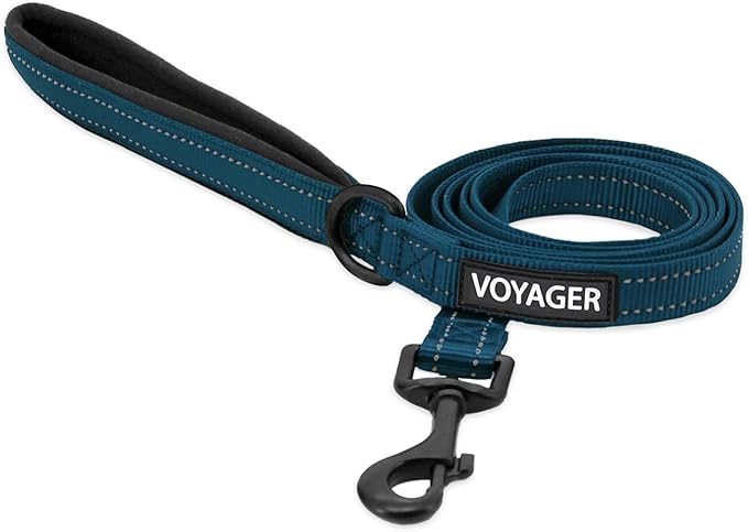 Best Pet Supplies Voyager Reflective Dog Leash or Collar with Neoprene Handle, for Small, Medium, and Large Breed Puppies, Cute and Heavy Duty for Walking, Running and Training - Blue (Leash), S