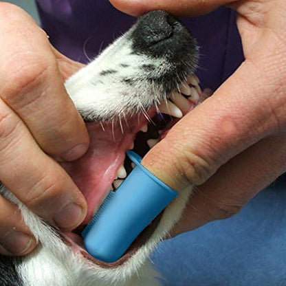 Pet Republique Enzymatic Dog Toothpaste Kit with Finger Toothbrushes Cats and Dogs Dental Cleaning Kit - 3.5 oz Beef Flavor Toothpaste, 3 Silicon Finger Toothbrushes, 1 Mini Handle Toothbrush - Image 3
