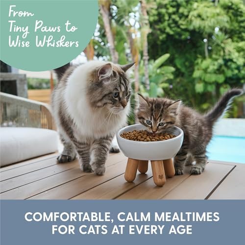 The Cat Ladies Tilted Ceramic Cat Bowl - Elevated Food Bowls Ceramic Pet Bowl - Raised Ceramics Bowls - Elevated & Tilted Design for Comfortable Eating - Dishwasher Safe - Wide Opening - Image 6