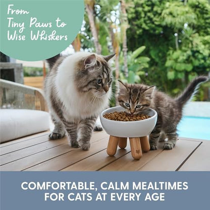 The Cat Ladies Tilted Ceramic Cat Bowl - Elevated Food Bowls Ceramic Pet Bowl - Raised Ceramics Bowls - Elevated & Tilted Design for Comfortable Eating - Dishwasher Safe - Wide Opening - Image 6