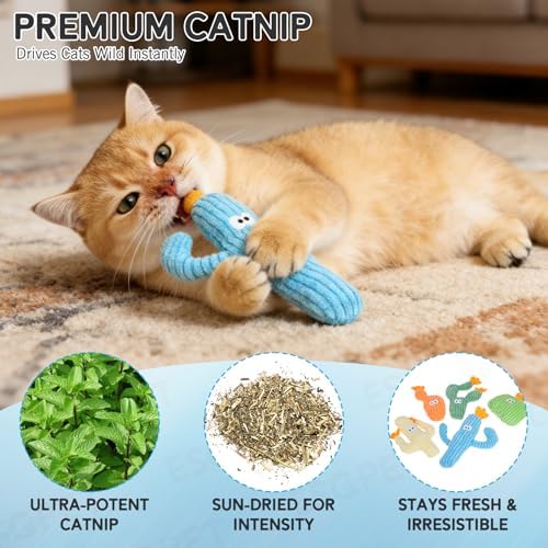 Catnip Cat Toys, 5 Pack Cactus Cat Toys with Organic Catnip, Interactive Chew & Kick Toys for Indoor Cats, Plush Teething Toys for Kittens, Fun Cactus Shape - Image 2
