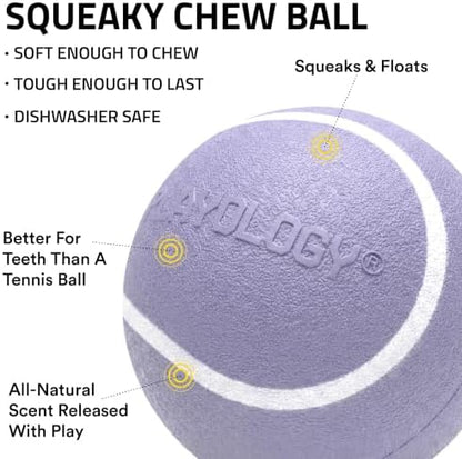 Playology Squeaky Chew Ball Dog Toy - Medium, Lamb Scent - Image 2