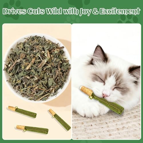 4-Pack Catnip Toys for Cats - Hand-Rolled with Hemp Rope & Bell Safe Teething Fun + Stress Relief Toys for Indoor Cats & Multi-Kitten Homes (Green) - Image 6