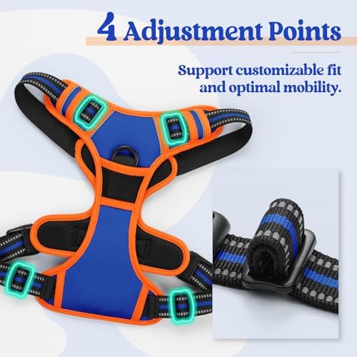 rabbitgoo Dog Harness, No Pull for Large Dogs with 2 Leash Clips, Pet Vest - Image 4