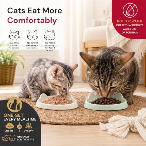 7 Ruby Road Shallow Cat & Kitten Food Bowls, Whisker Friendly, Set of 2 - Image 2