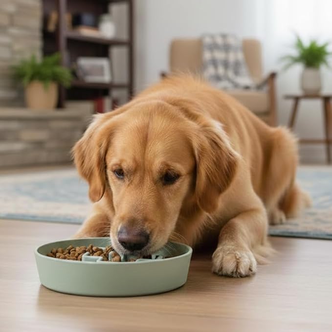 Sustainable Dog Slow Feeder Bowl – 27.7 OZ (820 ML) | Eco-Friendly Material, Dishwasher Safe | Suitable for Dry and Wet Food | Durable and Easy to Clean | Mint Green