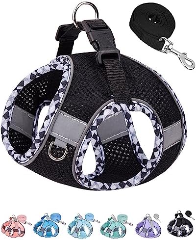 Petank Dog Harness for Small Medium Dogs No Pull, Puppy Harness and Leash Set, Step in Dog Harness for Walking, Running, Training(Black, S) by Petank