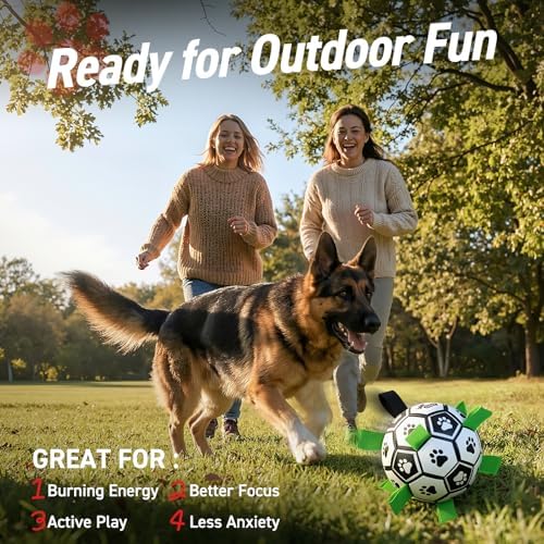 QDAN Large Dog Toys, Soccer Ball for Dogs with Straps, 9 Inch Big Dog Ball - Image 5