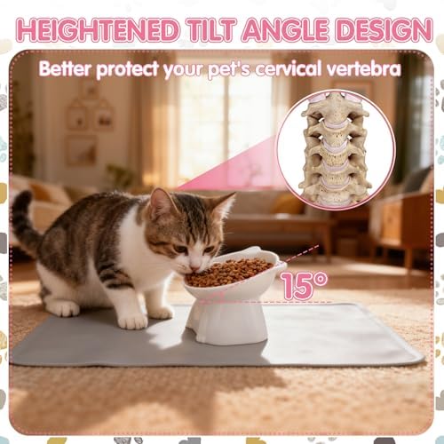 Elevated Cat Bowls 15° Raised Cat Bowl with Silicone Mat Multicolor - Image 5