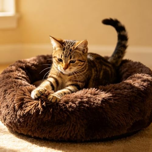 Cat Beds for Indoor Cats - Cat Bed Washable 20/24 inches, Dog Beds for Small Medium Dogs, Anti Anxiety Round Fluffy Plush Faux Fur Pet Bed, Thick Bottom (Coffee, Medium) - Image 2