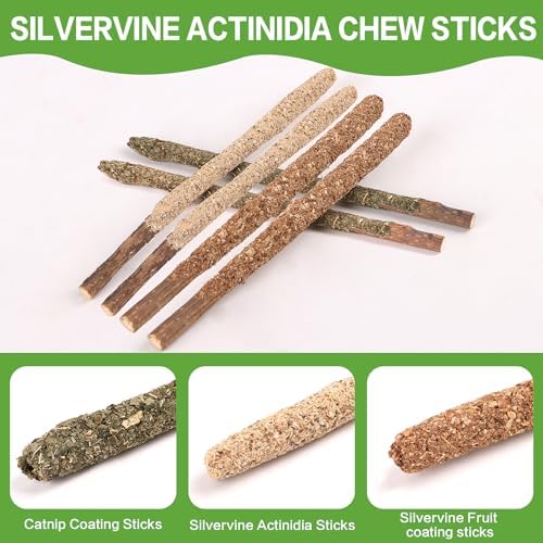 FOIMAS Silvervine Sticks Cat Toys,10pcs Cat Chew Stick Catnip Chew Toy Interactive Cat Toy for Cat Kitten Teeth Cleaning Treat Toys Indoor Outdoor - Image 6