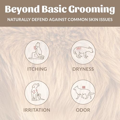 SKOUT'S HONOR Probiotic Dog Deodorizing Spray - Dog of the Woods, 8 oz - Image 3