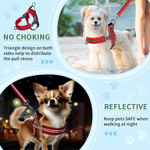 SlowTon No Pull Small Dog Harness and Leash Set with Front Clip - Image 3