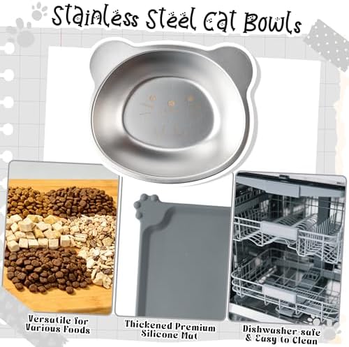 Elevated Cat Bowl with Food Mat - 15°Tilted Stand Raised Cat Bowl, Stainless Steel Whisker Friendly Anti Vomiting Food Water Dishes, Silicone Feeding Mat for Cats Puppy Kitten Small Dog - Image 4