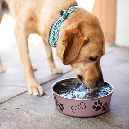 Loving Pets Bella Dog Bowls- Stainless Steel Dog & Cat Bowls - Spill Proof Dog Food Bowl, Cat Bowl, Puppy Essentials & Pet Supplies Great for Home & Travel (Large 35-65 lbs, Grape) - Image 5