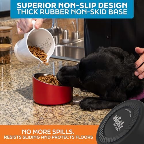 Master Pet Supply Stainless Steel Slanted Dog Cat Food Bowl 16 oz Black - Image 5