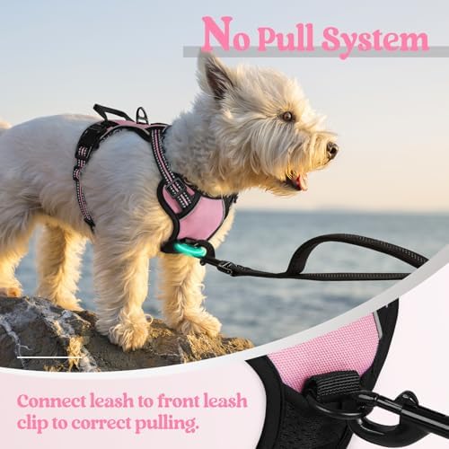 rabbitgoo Dog Harness No Pull with 2 Leash Clips, Adjustable Soft Padded, Reflective Oxford No Choke Pet Vest with Easy Control Handle for Puppy, Pink, XS - Image 5