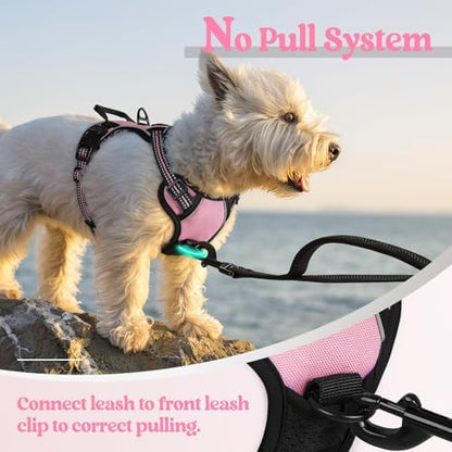 rabbitgoo Dog Harness No Pull with 2 Leash Clips, Adjustable Soft Padded, Reflective Oxford No Choke Pet Vest with Easy Control Handle for Puppy, Pink, XS - Image 5