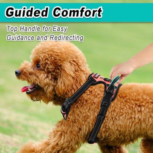 BARKBAY Dog Harness for Small Sized Dog No Pull 2 Leash Clips Dog Vest - Image 4