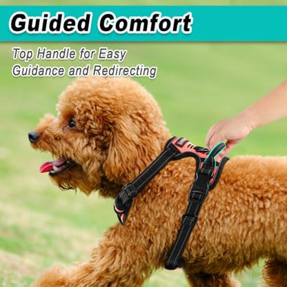 BARKBAY Dog Harness for Small Sized Dog No Pull 2 Leash Clips Dog Vest - Image 4