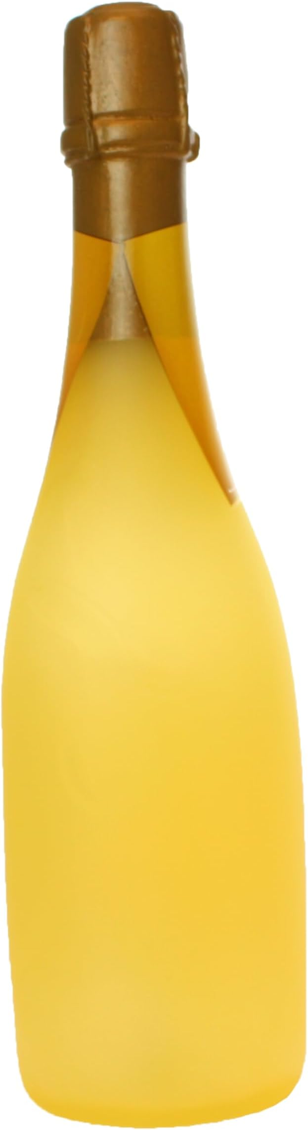 SILLY SQUEAKERS-Wine Bottles - Dog Toy - 100% Vinyl. Made Durable & Strong. Novelty Play Toy. Many Bottles to Choose from and They Floats (Crispaw, Single)