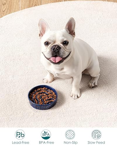 vancasso Slow Feeder Dog Bowl, 0.6 Cup Ceramic Slow Feeding Food Dish for Small Breed, Puzzle Dog Food Bowl for Fast Eater, Blue - Image 5