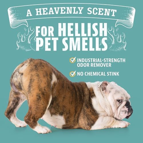 Angry Orange Pet Odor Eliminator for Strong Odor - Citrus Deodorizer for Strong Dog or Cat Pee Smells on Carpet, Furniture & Indoor Outdoor Floors - 2 Pack - Puppy Supplies - Image 6