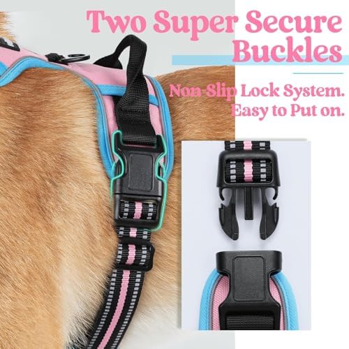 rabbitgoo Dog Harness, No Pull Medium Sized with 2 Leash Clips, Pet Vest - Image 4
