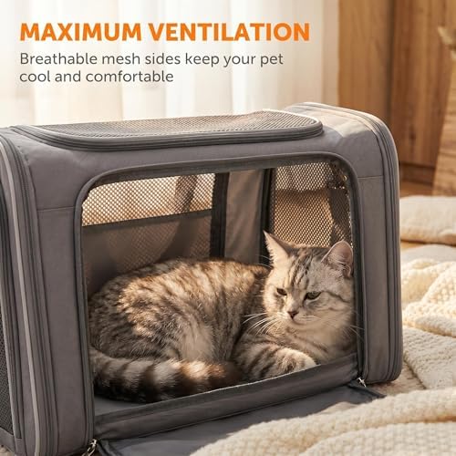 Cat Carrier Soft Sided Pet Travel Bag, Oxford Cloth Lightweight Carrier for Cat Up to 20 Pounds, Portable Handbag & Crossbody Cat Carrier for Outdoor Use - Image 3