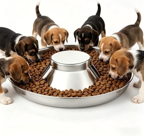 Stainless Steel Multi-Pet Feeding Bowl for Small Medium Large Dogs & Cats by Unknown