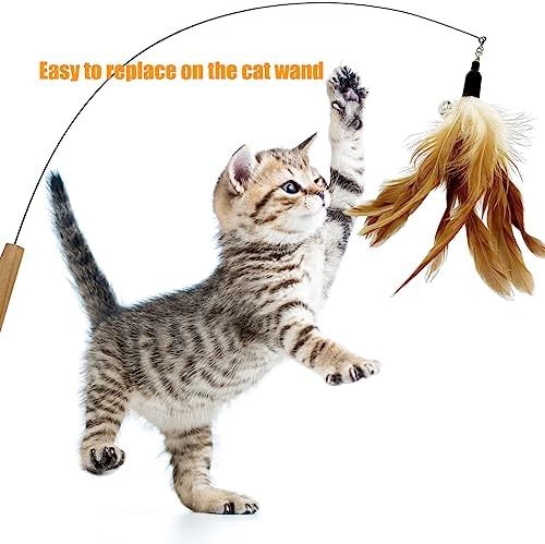 Cat Feather Toys Refill, 16 Pieces Cat Wand Replacement Feathers Toy for Indoor Cats - Image 2