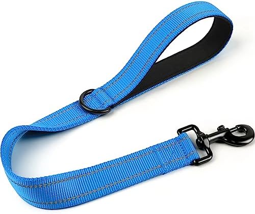 Joytale Short Dog Leash for Close Control & Training, 24", Aqua Blue by Joytale