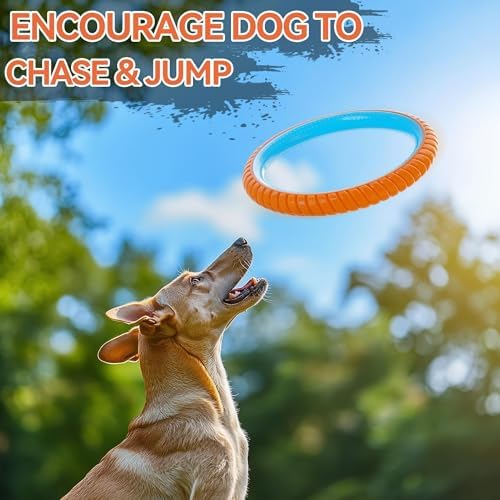 ALL FOR PAWS 10.8" Durable Dog Ring Toy, Interactive Dog Toy for Fetch & Tug of War, Chew-Resistant Rubber Toy for Medium to Large Dogs, Outdoor Toy for Training & Exercise - Image 4
