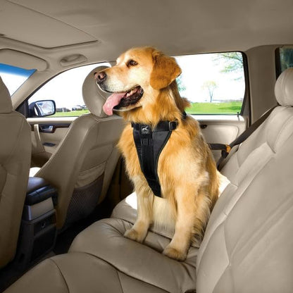 Kurgo Enhanced Strength Tru-Fit Dog Car Harness - Pet Travel Safety Harness - Crash Test Certified Fit - Five Point Adjustment - Secure Buckle - Padded Chest - Black - Medium